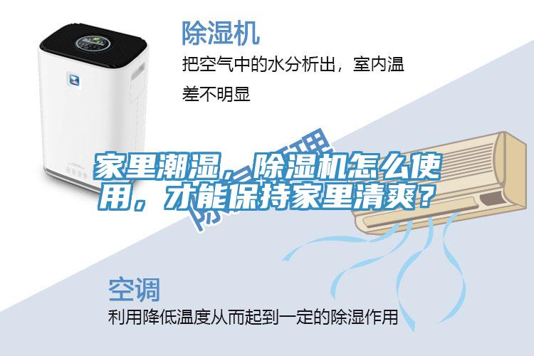 家里潮濕，除濕機怎么使用，才能保持家里清爽？