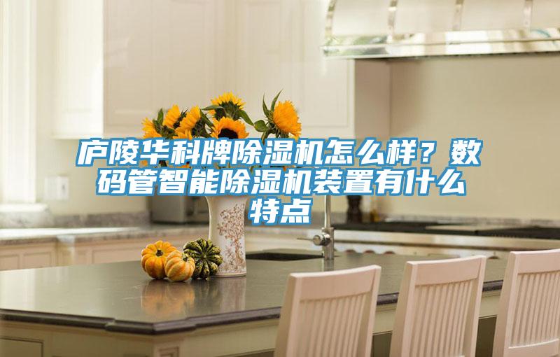 廬陵華科牌除濕機(jī)怎么樣？數(shù)碼管智能除濕機(jī)裝置有什么特點(diǎn)