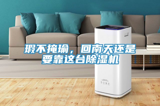 瑕不掩瑜，回南天還是要靠這臺除濕機(jī)