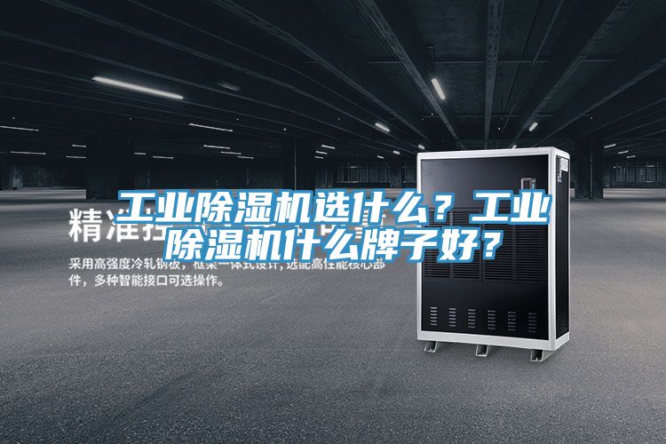 工業除濕機選什么？工業除濕機什么牌子好？