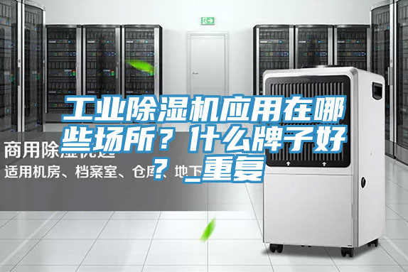工業(yè)除濕機(jī)應(yīng)用在哪些場(chǎng)所？什么牌子好？_重復(fù)