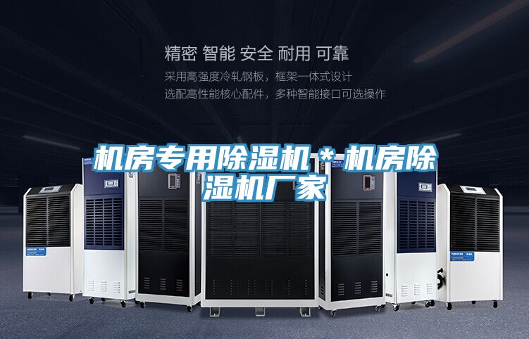 機(jī)房專(zhuān)用除濕機(jī)＊機(jī)房除濕機(jī)廠(chǎng)家