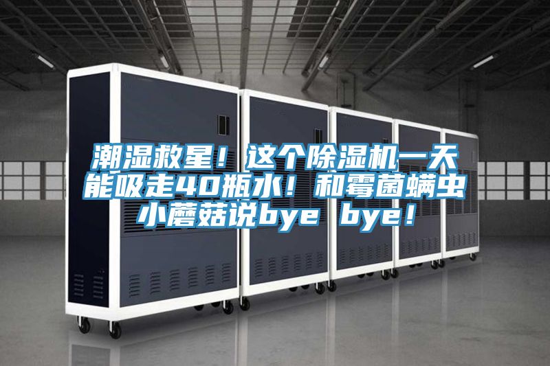 潮濕救星！這個除濕機一天能吸走40瓶水！和霉菌螨蟲小蘑菇說bye bye！