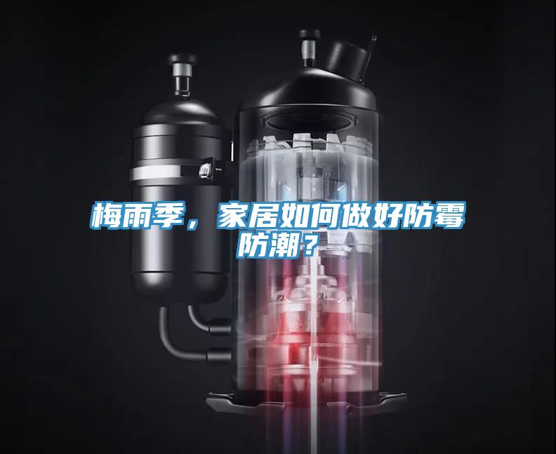 梅雨季，家居如何做好防霉防潮？