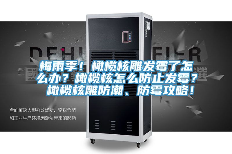 梅雨季！橄欖核雕發霉了怎么辦？橄欖核怎么防止發霉？ 橄欖核雕防潮、防霉攻略！