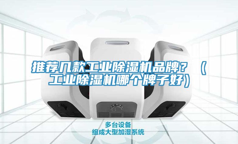 推薦幾款工業(yè)除濕機(jī)品牌?(工業(yè)除濕機(jī)哪個(gè)牌子好)