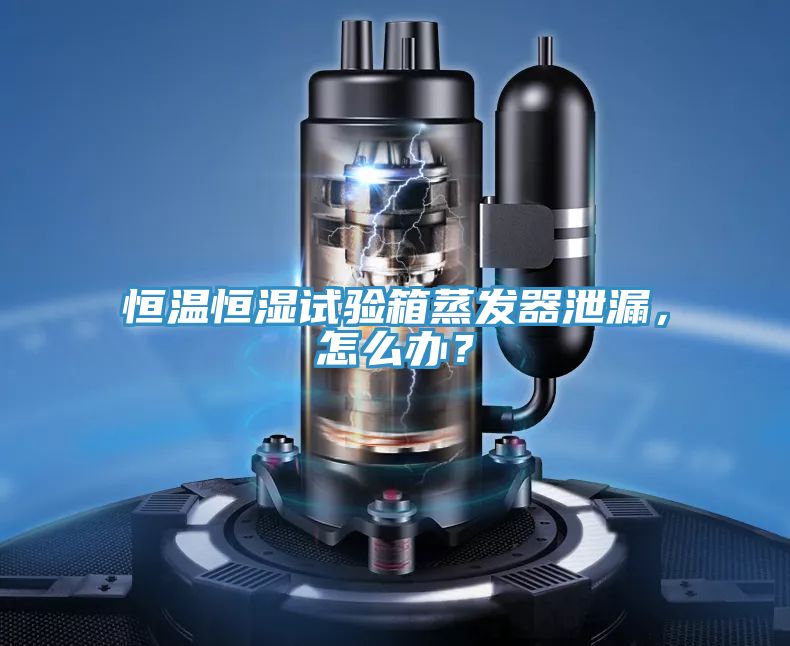 恒溫恒濕試驗(yàn)箱蒸發(fā)器泄漏，怎么辦？