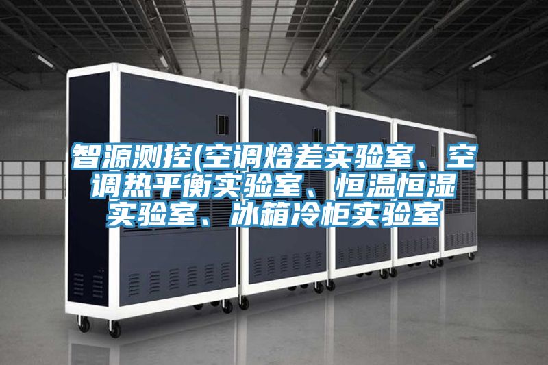 智源測控(空調焓差實驗室、空調熱平衡實驗室、恒溫恒濕實驗室、冰箱冷柜實驗室