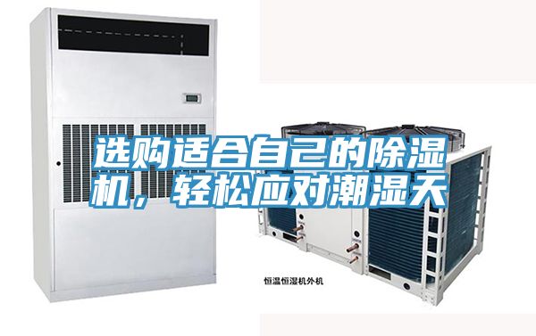 選購適合自己的除濕機，輕松應對潮濕天