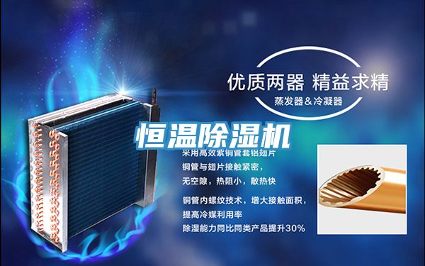 恒溫除濕機(jī)