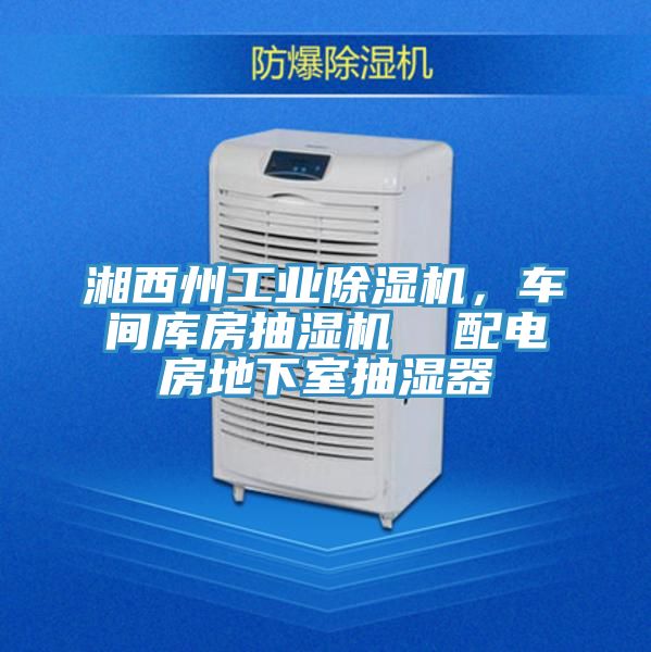 湘西州工業(yè)除濕機，車間庫房抽濕機  配電房地下室抽濕器