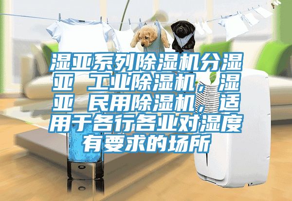 濕亞系列除濕機分濕亞 工業(yè)除濕機，濕亞 民用除濕機，適用于各行各業(yè)對濕度有要求的場所