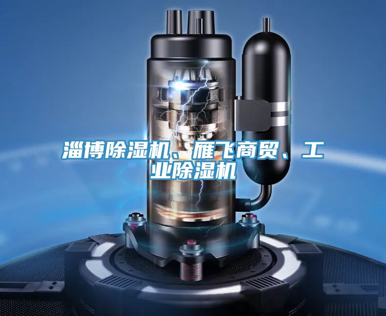 淄博除濕機、雁飛商貿、工業除濕機