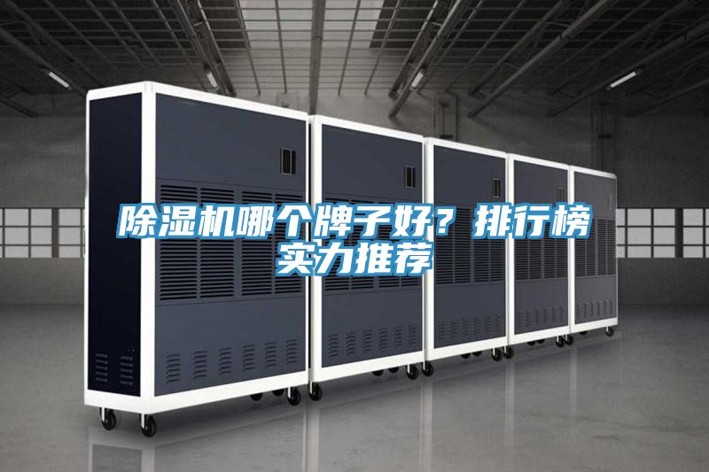 除濕機哪個牌子好?排行榜實力推薦
