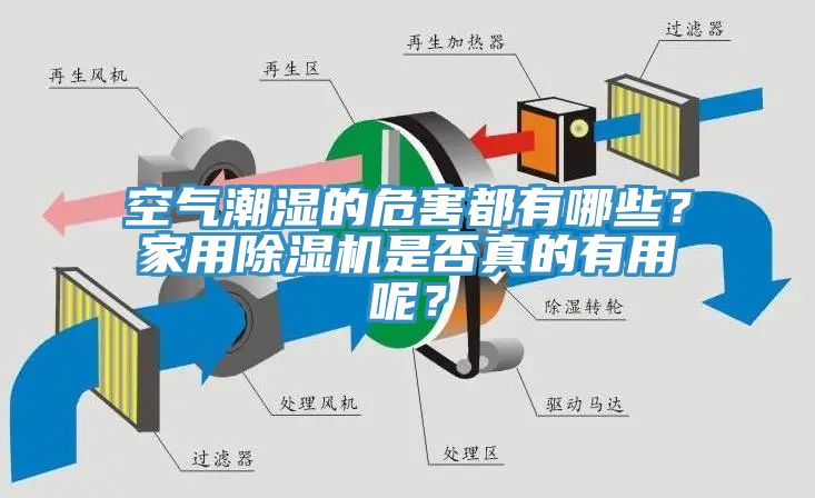 空氣潮濕的危害都有哪些？家用除濕機是否真的有用呢？