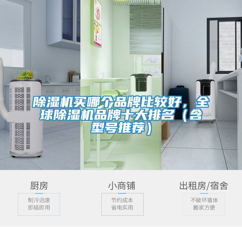 除濕機買哪個品牌比較好,全球除濕機品牌十大排名(含型號推薦)