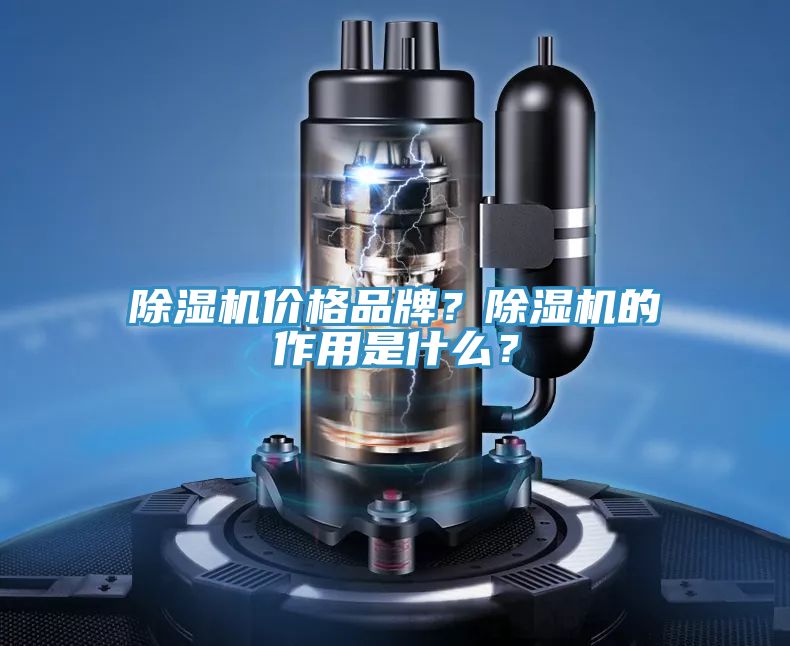除濕機價格品牌？除濕機的作用是什么？