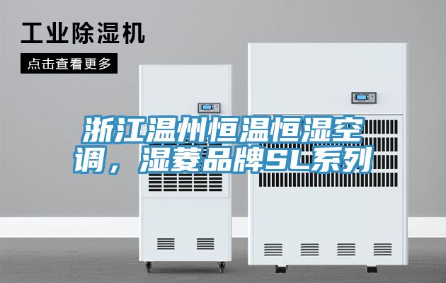 浙江溫州恒溫恒濕空調(diào)，濕菱品牌SL系列