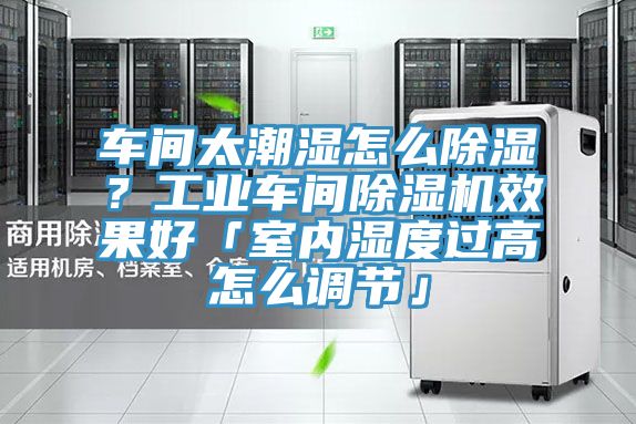 車間太潮濕怎么除濕？工業車間除濕機效果好「室內濕度過高怎么調節」