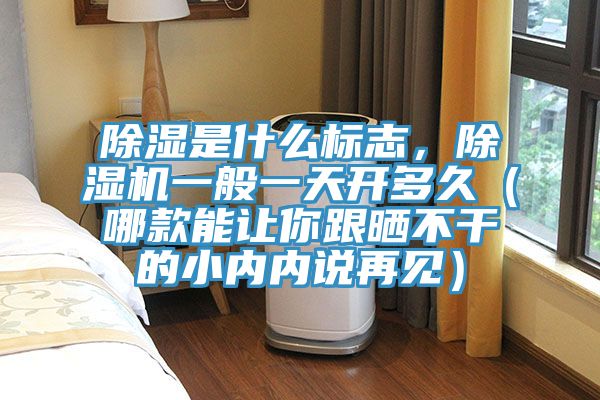 除濕是什么標志，除濕機一般一天開多久（哪款能讓你跟曬不干的小內(nèi)內(nèi)說再見）