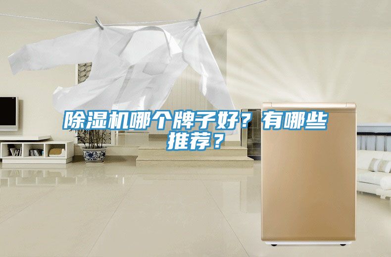 除濕機哪個牌子好?有哪些推薦?