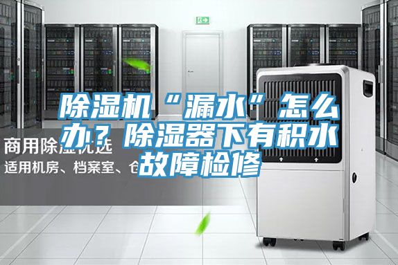 除濕機(jī)“漏水”怎么辦？除濕器下有積水故障檢修