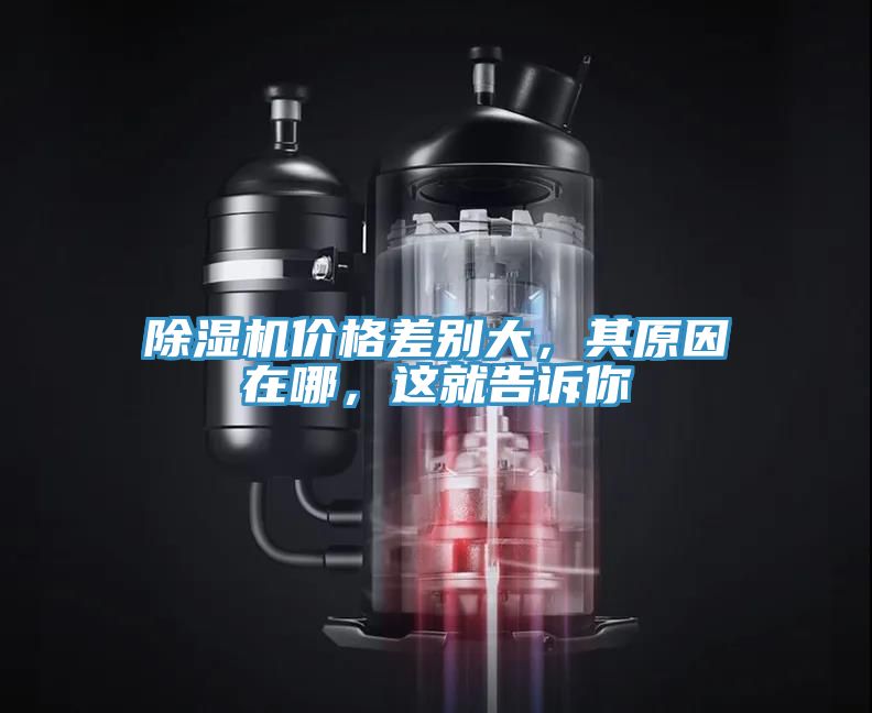 除濕機價格差別大，其原因在哪，這就告訴你