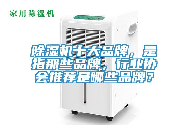 除濕機十大品牌，是指那些品牌，行業協會推薦是哪些品牌？