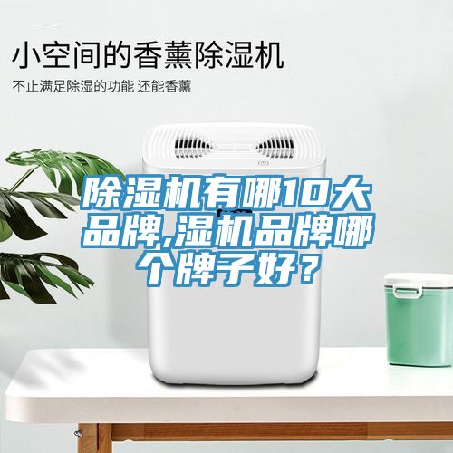 除濕機有哪10大品牌,濕機品牌哪個牌子好?