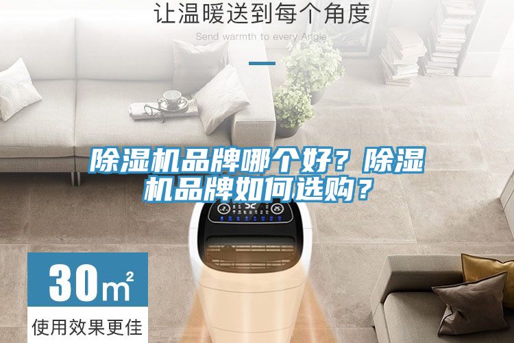 除濕機品牌哪個好?除濕機品牌如何選購?