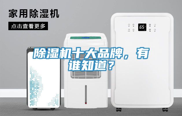 除濕機十大品牌，有誰知道？