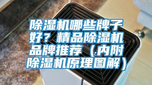 除濕機哪些牌子好?精品除濕機品牌推薦(內(nèi)附除濕機原理圖解)