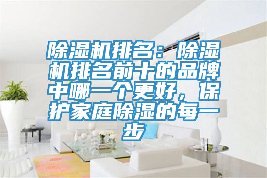 除濕機排名：除濕機排名前十的品牌中哪一個更好，保護家庭除濕的每一步