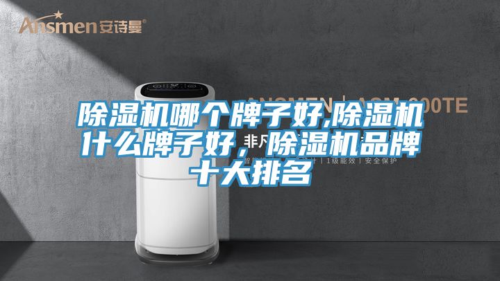 除濕機哪個牌子好,除濕機什么牌子好,除濕機品牌十大排名