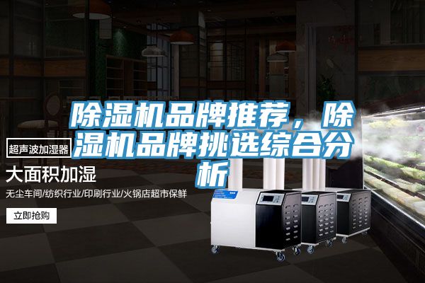 除濕機品牌推薦，除濕機品牌挑選綜合分析