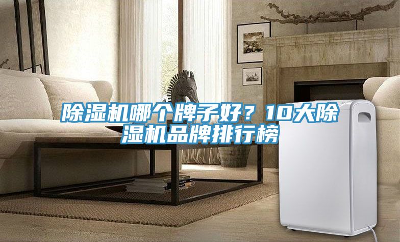 除濕機哪個牌子好?10大除濕機品牌排行榜