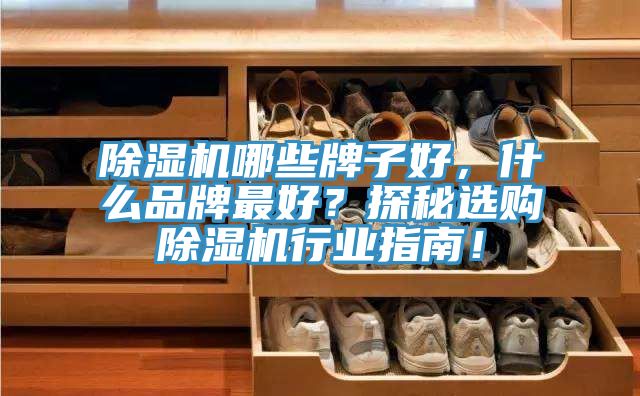除濕機哪些牌子好,什么品牌最好?探秘選購除濕機行業(yè)指南!
