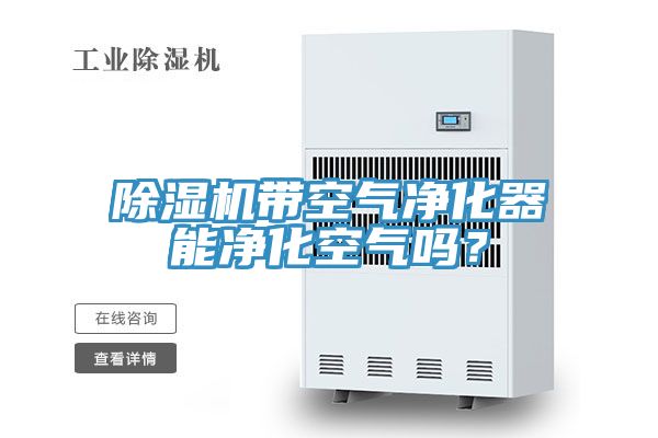 除濕機帶空氣凈化器能凈化空氣嗎?