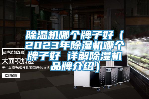 除濕機哪個牌子好(2023年除濕機哪個牌子好 詳解除濕機品牌介紹)
