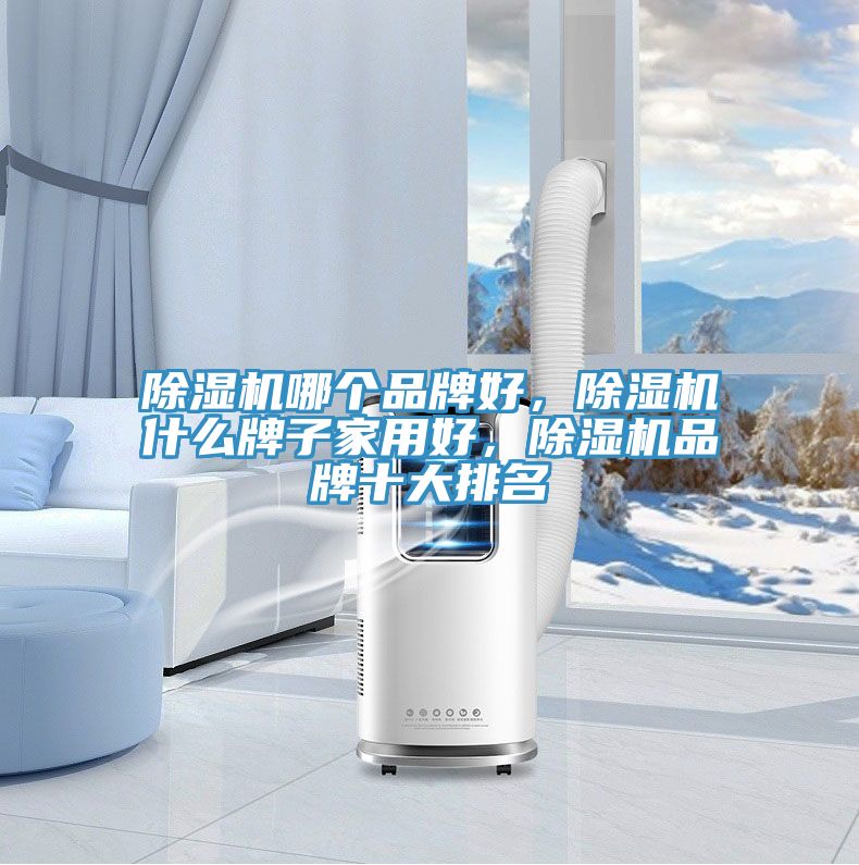除濕機(jī)哪個(gè)品牌好，除濕機(jī)什么牌子家用好，除濕機(jī)品牌十大排名