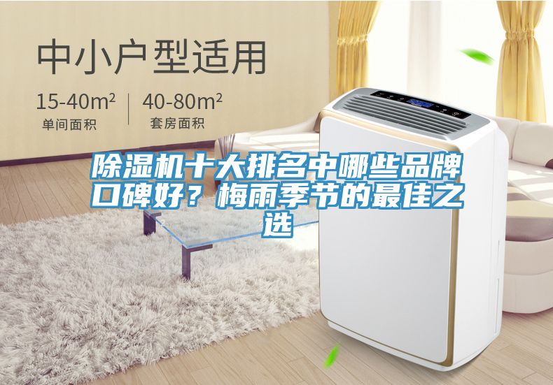 除濕機十大排名中哪些品牌口碑好？梅雨季節的最佳之選