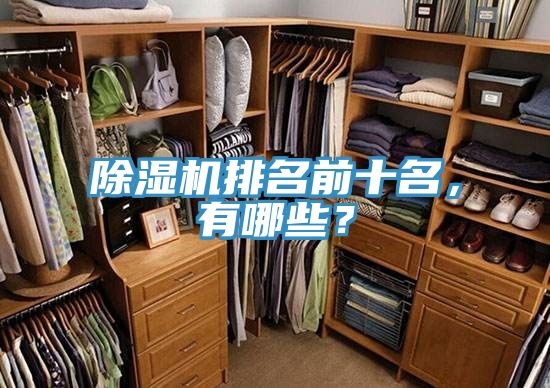 除濕機排名前十名,有哪些?