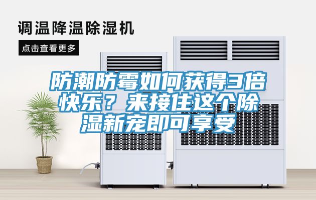 防潮防霉如何獲得3倍快樂？來接住這個(gè)除濕新寵即可享受