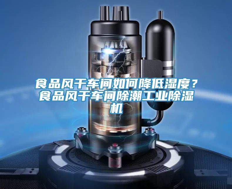 食品風(fēng)干車間如何降低濕度?食品風(fēng)干車間除潮工業(yè)除濕機(jī)