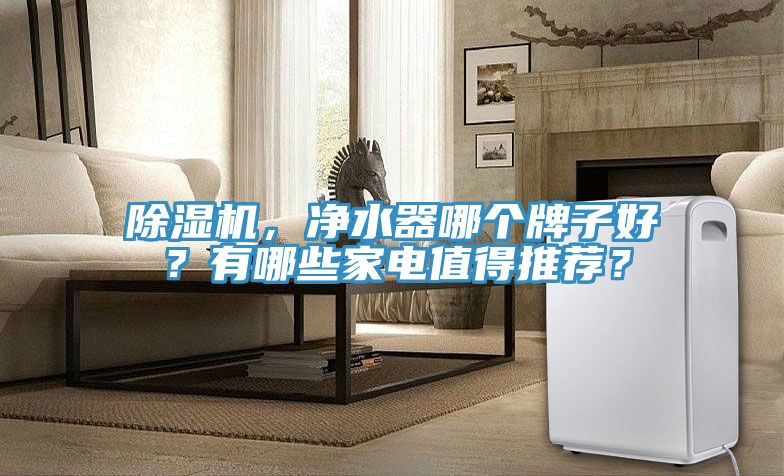 除濕機(jī)，凈水器哪個(gè)牌子好？有哪些家電值得推薦？