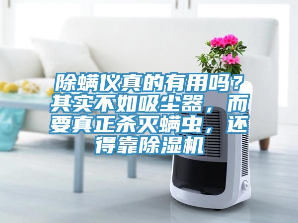 除螨儀真的有用嗎？其實不如吸塵器，而要真正殺滅螨蟲，還得靠除濕機