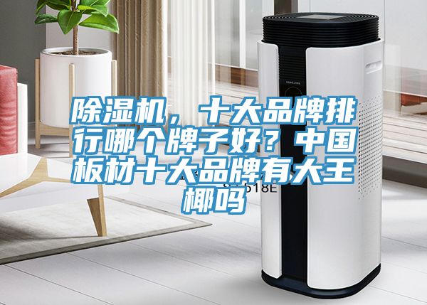 除濕機(jī)，十大品牌排行哪個(gè)牌子好？中國(guó)板材十大品牌有大王椰嗎