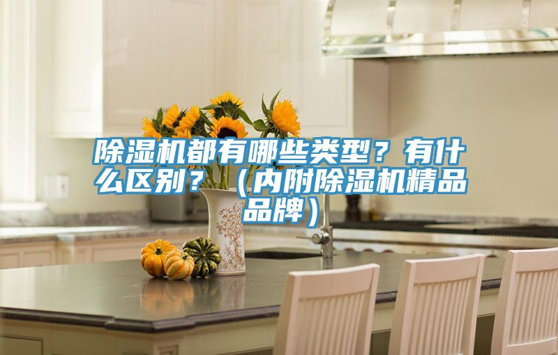 除濕機(jī)都有哪些類型?有什么區(qū)別?(內(nèi)附除濕機(jī)精品品牌)