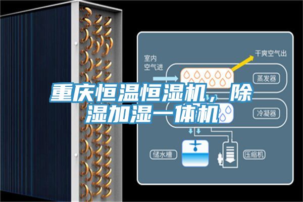 重慶恒溫恒濕機(jī)，除濕加濕一體機(jī)