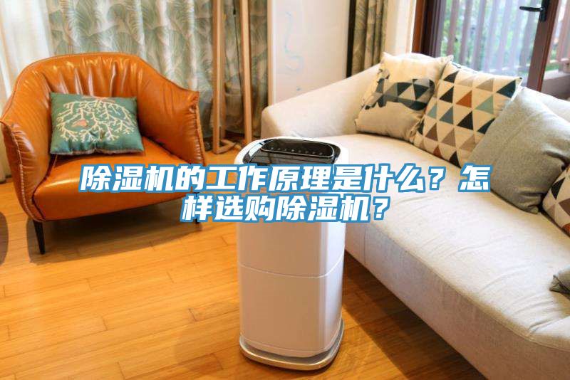 除濕機的工作原理是什么？怎樣選購除濕機？